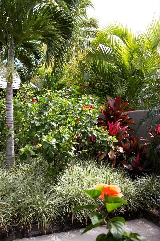 Te Vakaroa Villas Đảo Đảo Rarotonga Ngoại thất bức ảnh